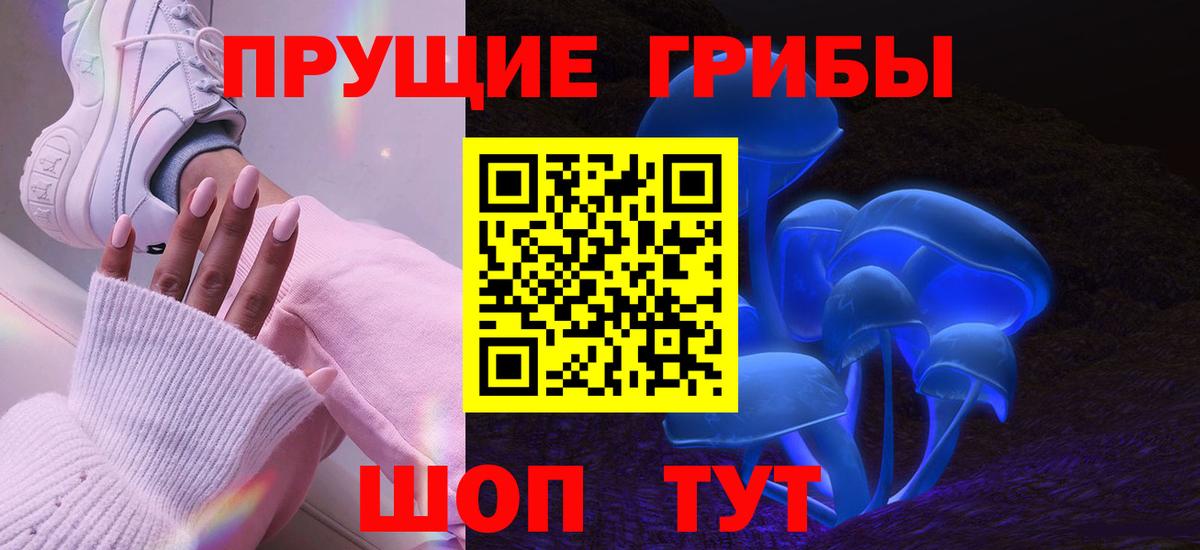 Псилоцибиновые грибы Psilocybine cubensis Ижевск